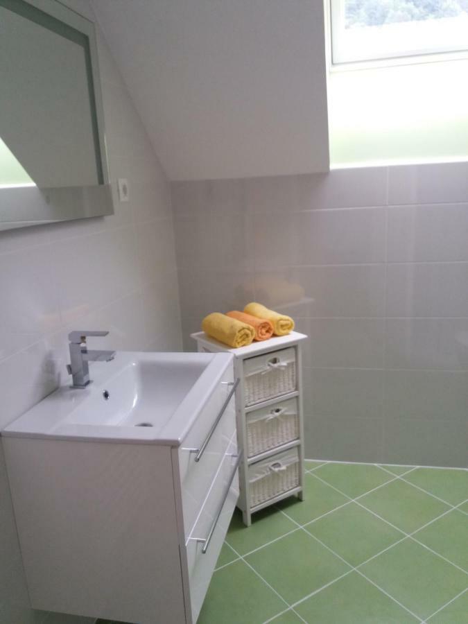 בוהין Apartma Momo מראה חיצוני תמונה